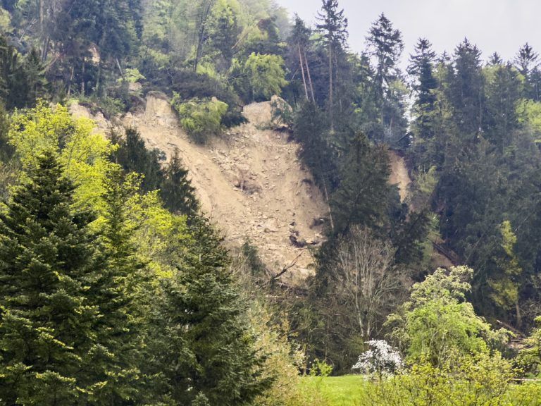 Wohngebiet in Hörbranz wird nach Hangrutsch um 1,5 Mill. Euro gesichert. »A5