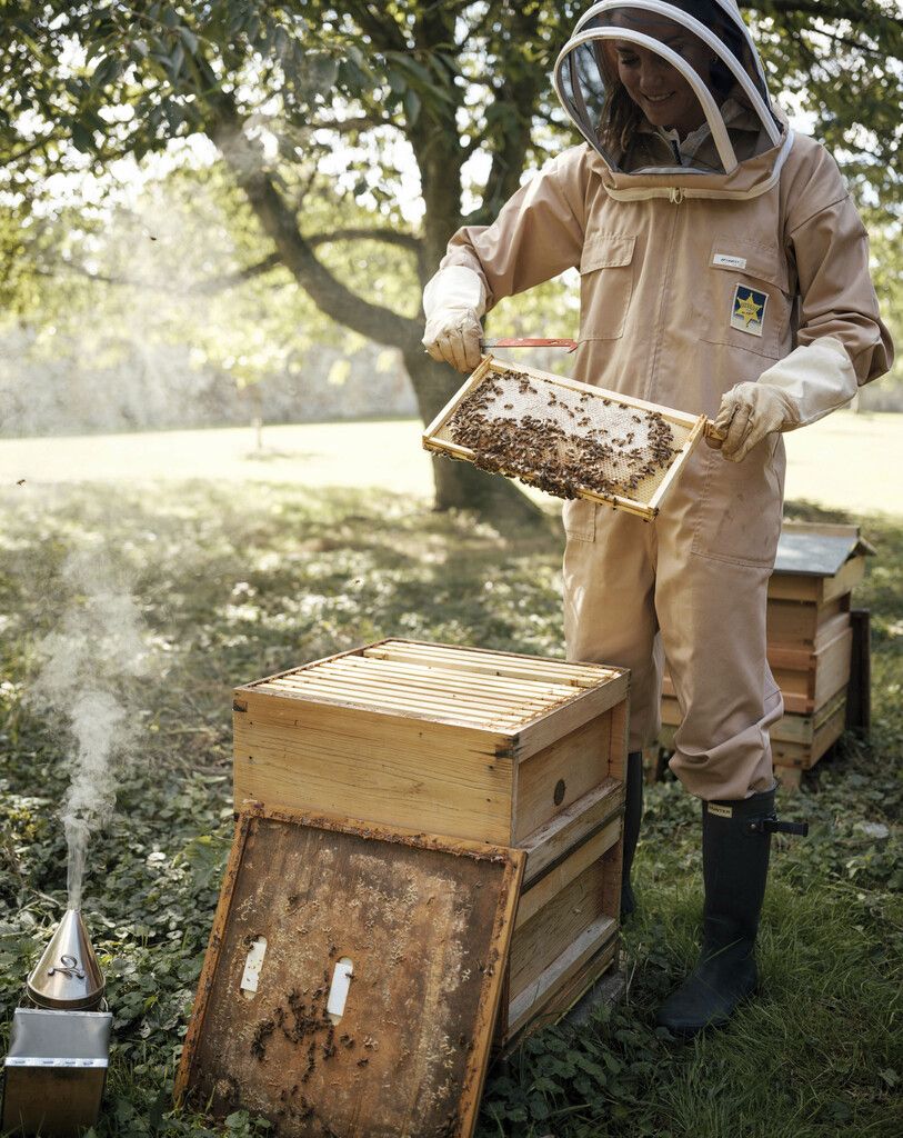 Königliche Bienenzucht