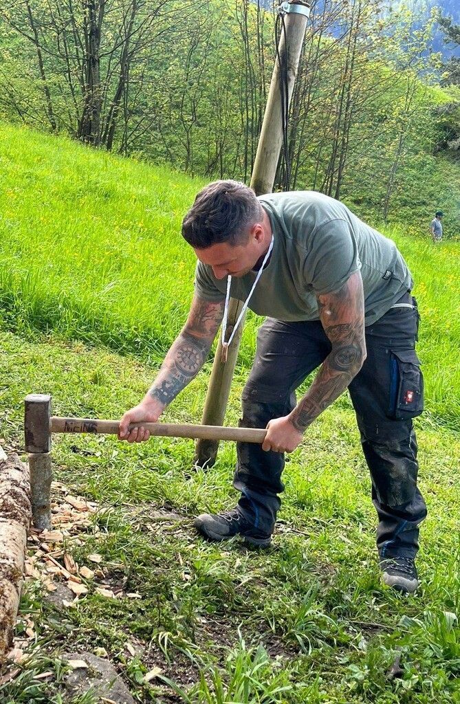Fleißige Waldfüchse bei der Arbeit.