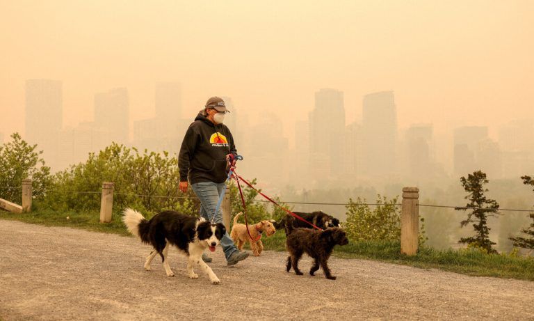In Alberta, Kanada, wüten derzeit rund 90 Waldbrände. 23 sind laut Angabe der Provinzregierung außer Kontrolle geraten. Reuters