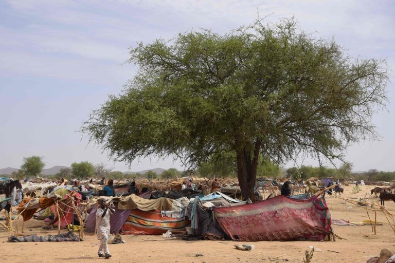 Sudanesische Flüchtlinge haben in Koufroun, Tschad, Schutz vor den Kämpfen in ihrer Heimat gesucht. AFP