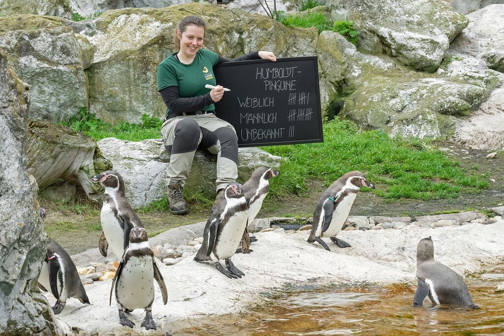 Tierische Inventur im Zoo