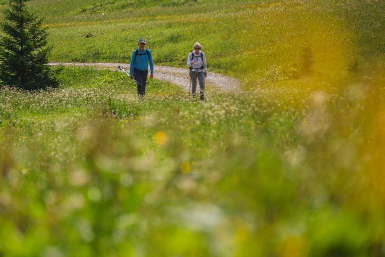 Ein Paradies für Tier und Mensch. Die leichte Wanderung von Schetteregg zur Obere Falz ist sehr attraktiv. 
