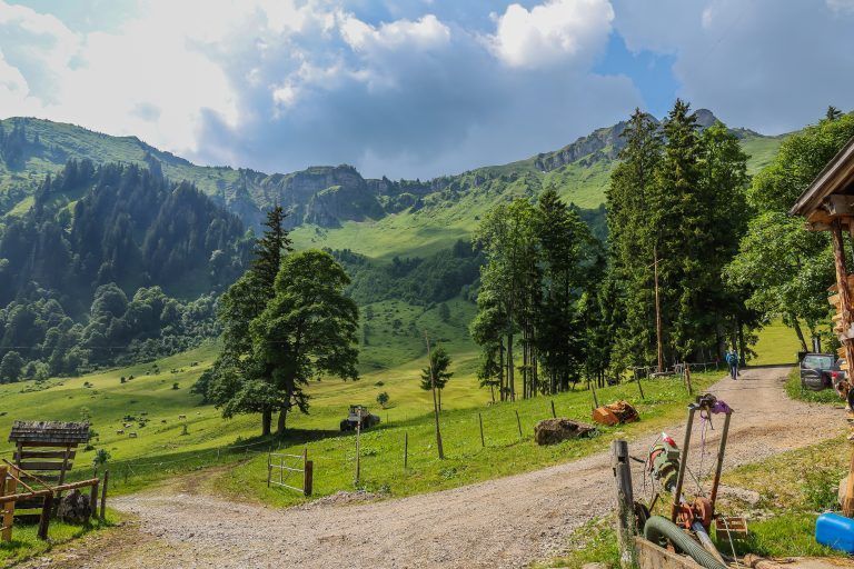 Alpe – Reportage, Alpe Obere Falz bei Älplerin Theresia Schneider
