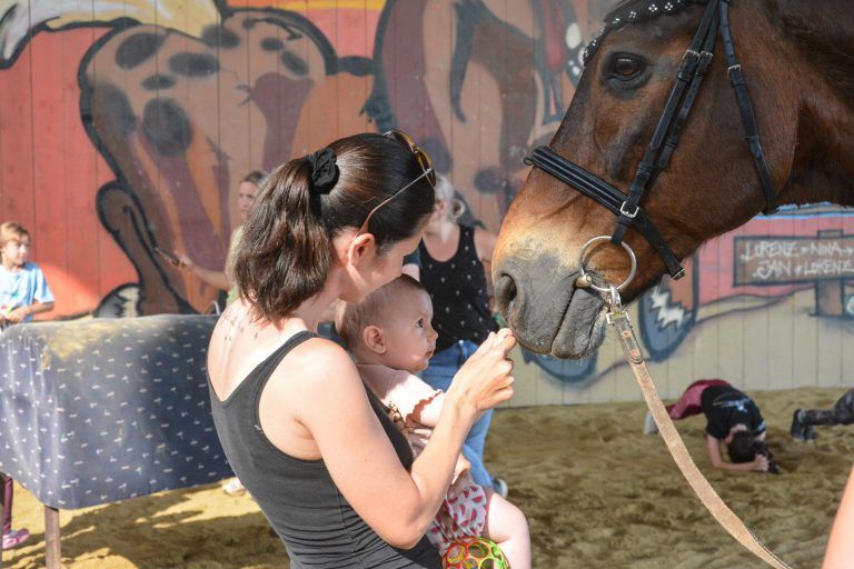 Pferde üben eine Faszination auf Groß und Klein aus.