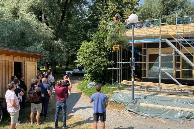 Der Baum wird hochgezogen.