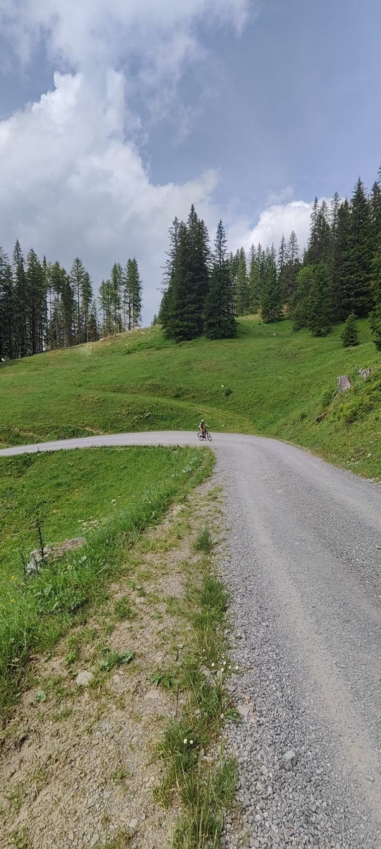 Über einen Schotterweg geht es in die Bergwelt.