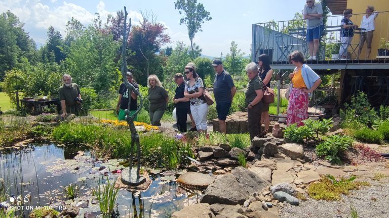 Beim Gartenteich konnten die Besucherinnen und Besucher die Insekten und Skulpturen im Garten der Heinzles bewundern.