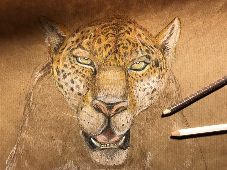 Sogar die Illustrationen der Bücher stammen oft aus seiner Feder.