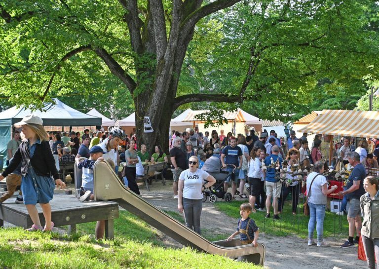 Bei bestem Wetter erfreute sich am Pfingstsonntag der Markt am Altacher Dorfplatz auch in diesem Jahr sehr großer Beliebtheit.