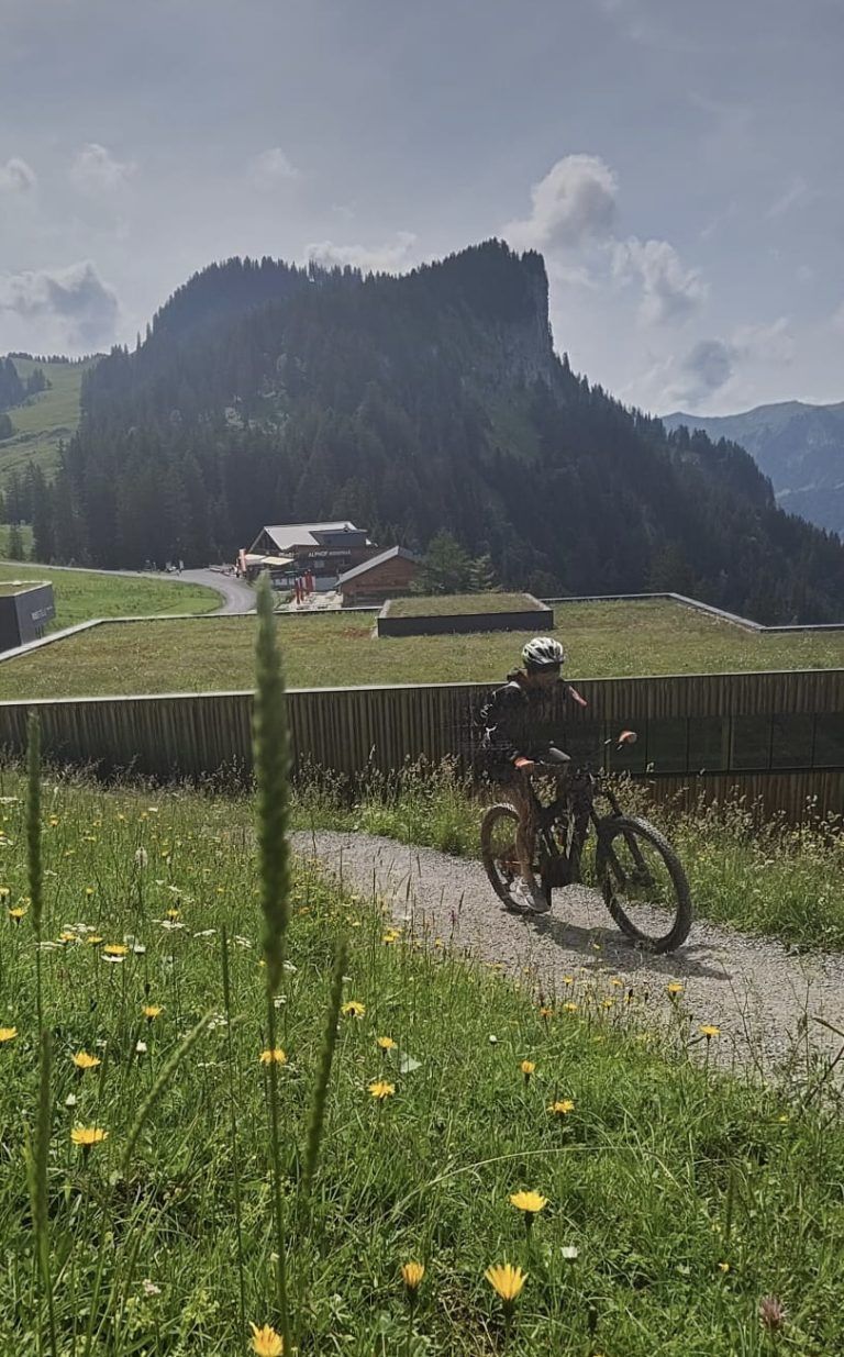 Weiter geht es auf einem schmalen Weg im Schritttempo Richtung Wurzachalpe.
