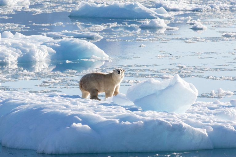 Das Eis in der Arktis wird auch für deren Bewohner immer dünner. Reuters