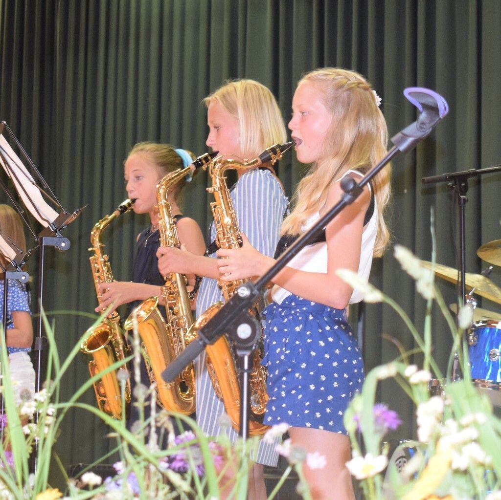 Großes Schlusskonzert der Musikschule Blumenegg