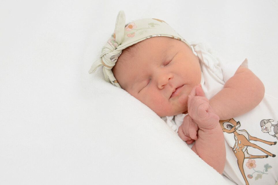 Hannah Sophie Flatschacher aus Fußach