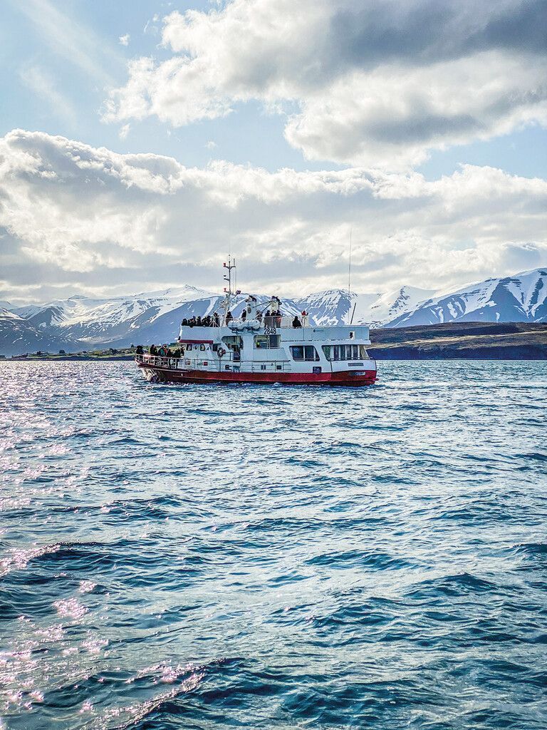 Der längste  Fjord Islands