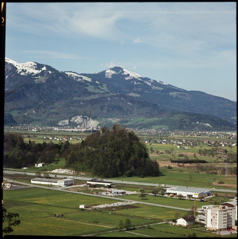 Gut versteckt: Die Burg am gleichnamigen Neuburghügel.