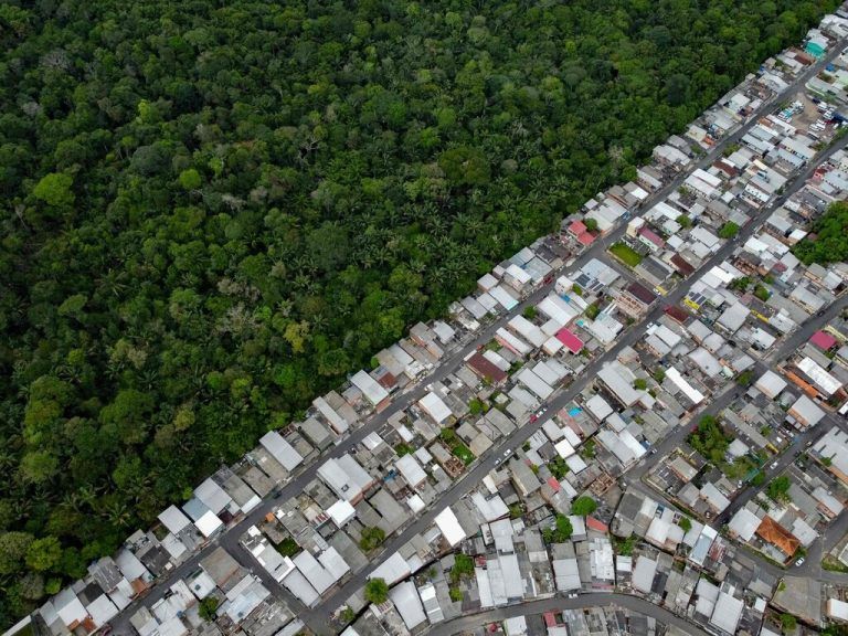 Im Regenwald in Brasilien, hier in der Zone von Manaus im Bundesstaat Amazonas, wetteifern Natur und Mensch um den Platz. AFP