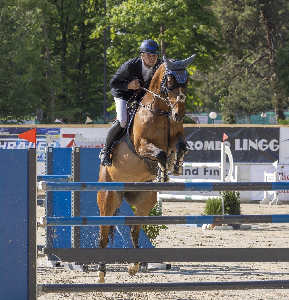 Rhomberg bürgt für ­Qualität im Reitsport