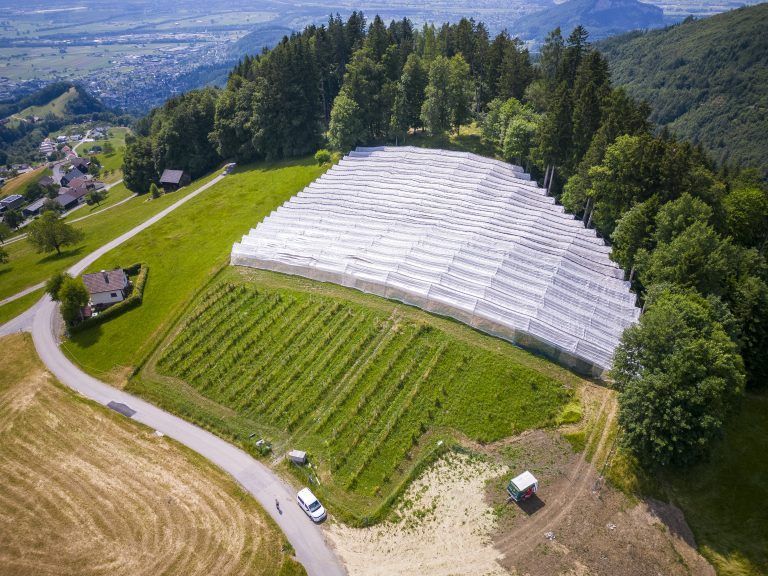 Betram Nachbaur verfügt über geschützte Anbauflächen im Intensivanbau mit kleineren Bäumen. Für die Hochstämmer sieht es schlecht aus. 