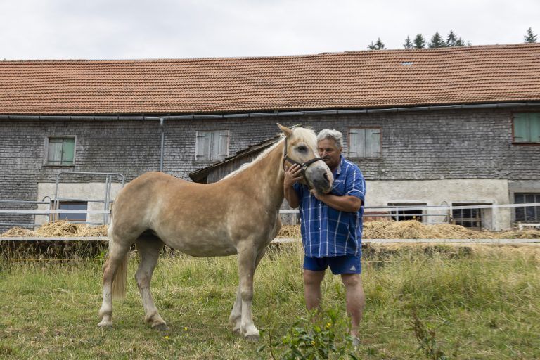 Nelli, die auf einem Auge blind ist, hat bereits 30 Jahre auf dem Pferdebuckel.