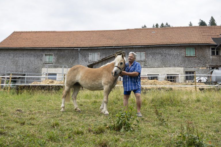 Rudi Längle gibt vom Schicksal geplagten Nutztieren ein neues Zuhause. <span class="copyright">VN/Paulitsch </span>