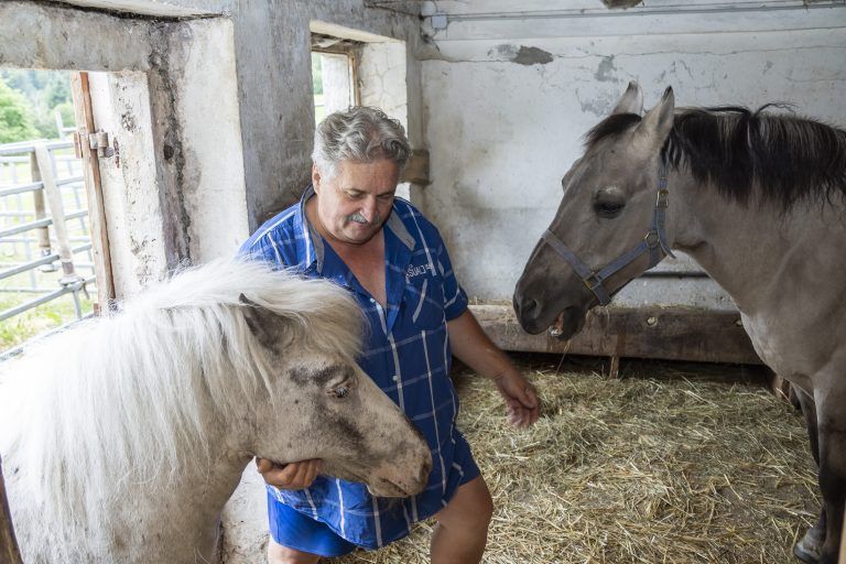 Rudi Längle mit Pony Rosalie und Konik Tonile.
