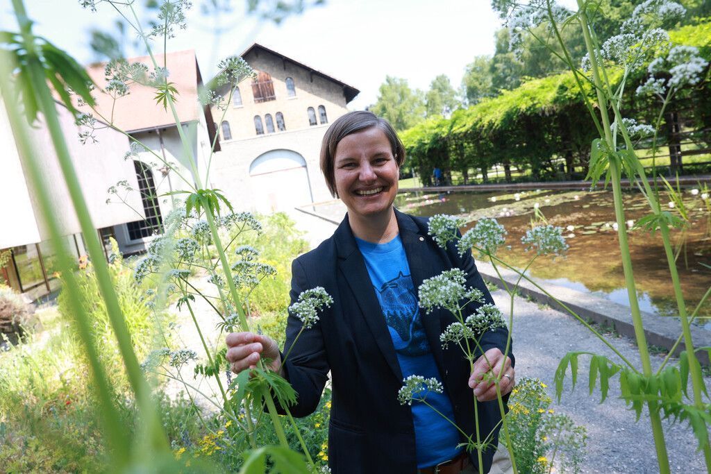 Museumsgeburtstag