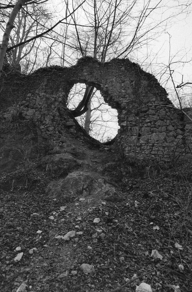 Seit 1985 finden beinahe jährlich aufwendige Erhaltungsmaßnahmen statt.