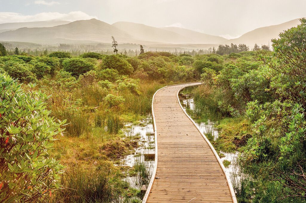 Wild Nephin Nationalpark