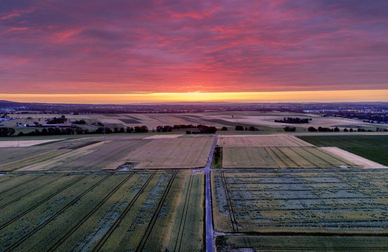 Stimmungsvoll: Felder und Äcker in den Außenbezirken von Frankfurt bei Sonnenaufgang. AP