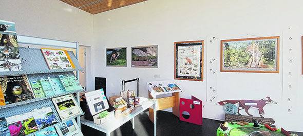 Vorarlberger Holzbaukunst in Berlin: Zartes Geflecht unter Bäumen