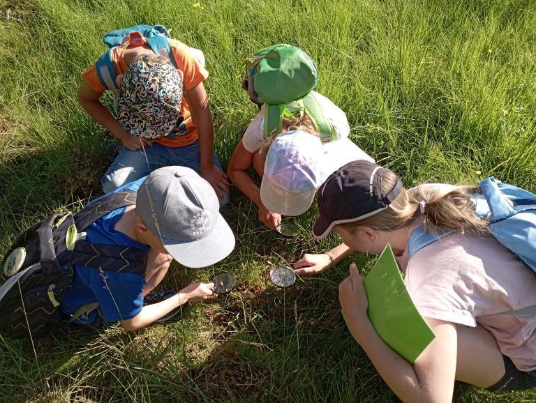 Mit etwas Hintergrundwissen zu kleinen Besonderheiten in der Natur kann man nicht genug Lupen in der Tasche haben. Kinder beim Betrachten der fleischfressende Pflanze "Sonnentau".