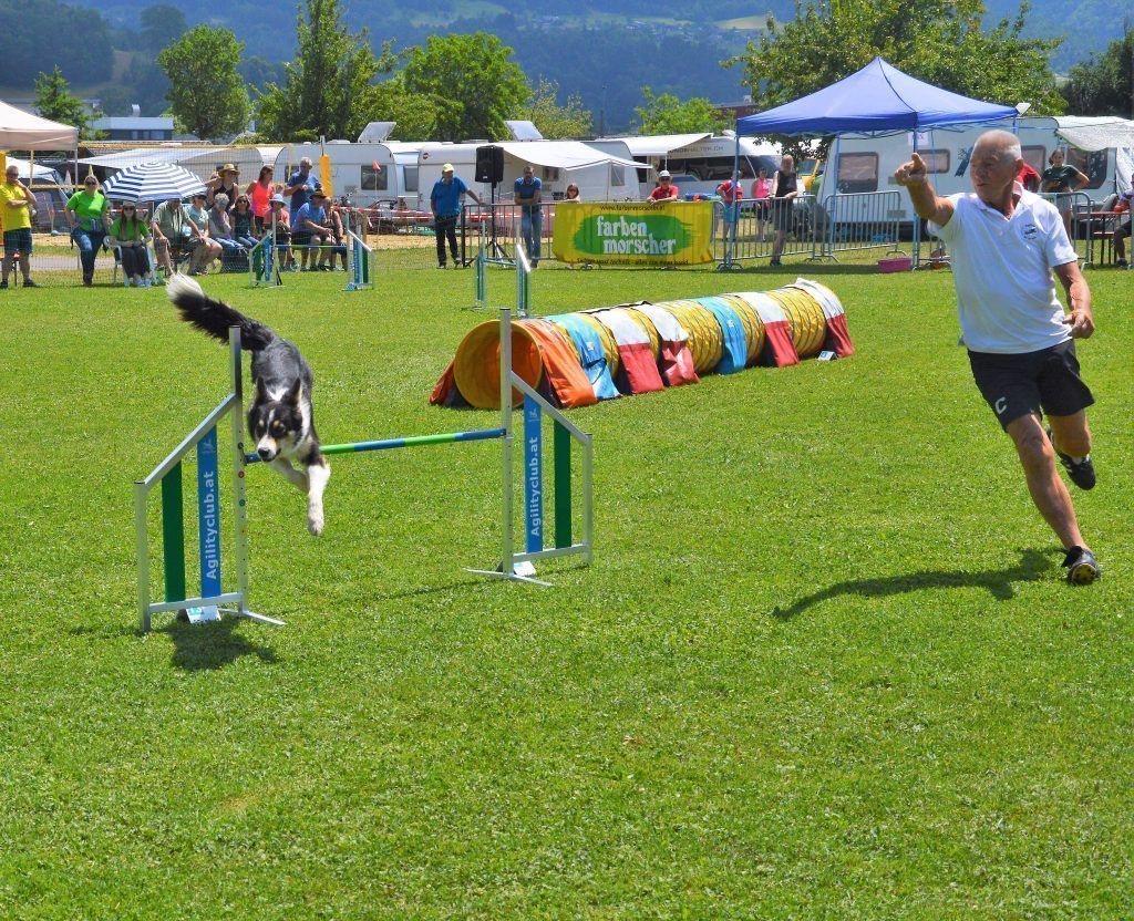 Mit 77 topfit: Erwin ist ein echtes Agility-Ass