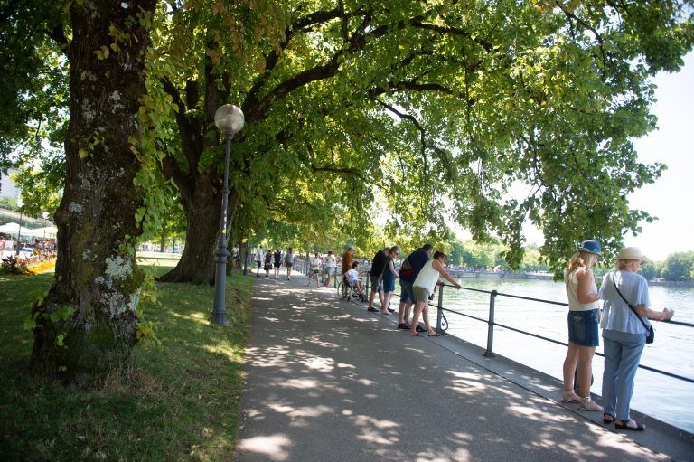 Das Wetter lädt in den nächsten Tagen zu einem Spaziergang am See ein. <span class="copyright">VN/Rhomberg</span>