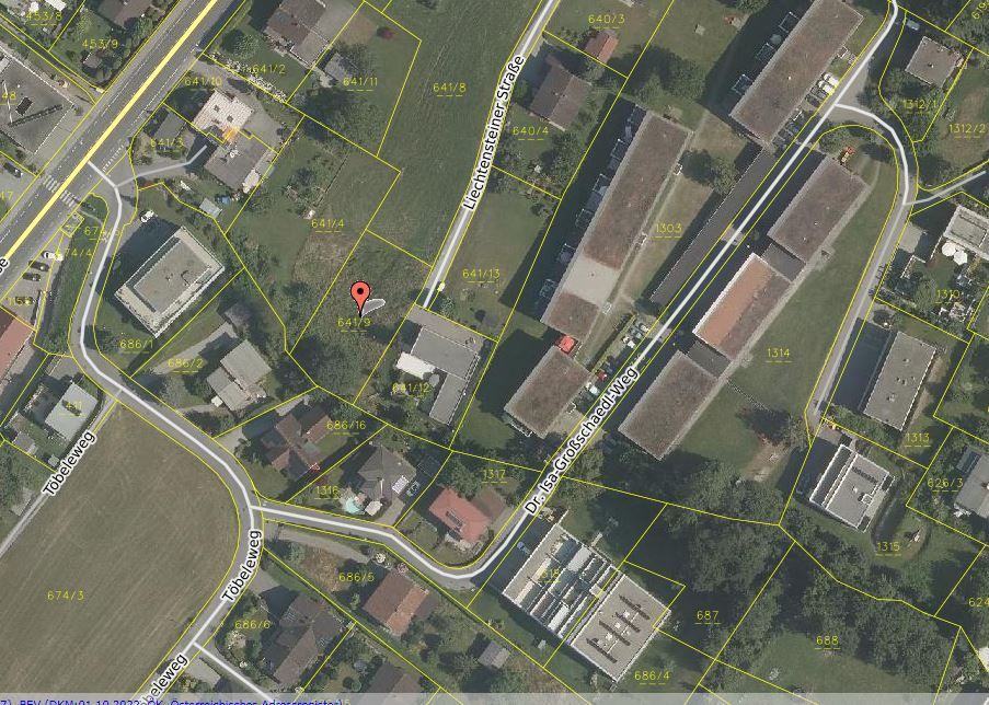 Land Vorarlberg: data.vorarlberg.gv.at, BEV (DKM)