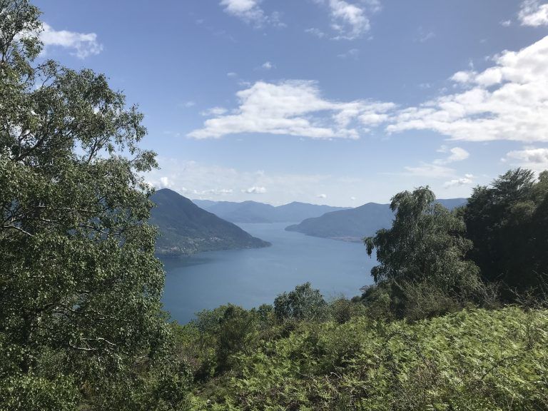 Die herrlichen Wälder an den Hängen des Lago Maggiore.   <span class="copyright">Freigut - Eigenes Werk, CC BY-SA 4.0, https://commons.wikimedia.org/w/index.php?curid=90504706</span>