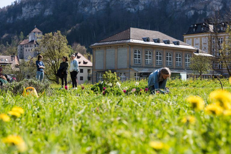 Die Stadtvertretung hat das neue Klima- und Umweltleitbild einstimmig beschlossen. <span class="copyright">Stadt Feldkirch</span>