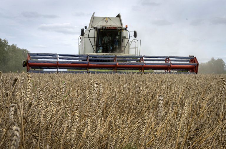 Der Transport von Millionen Tonnen von ukrainischem Getreide, vor allem Mais und Weizen, kommt auf dem Seeweg zum Erliegen. AP