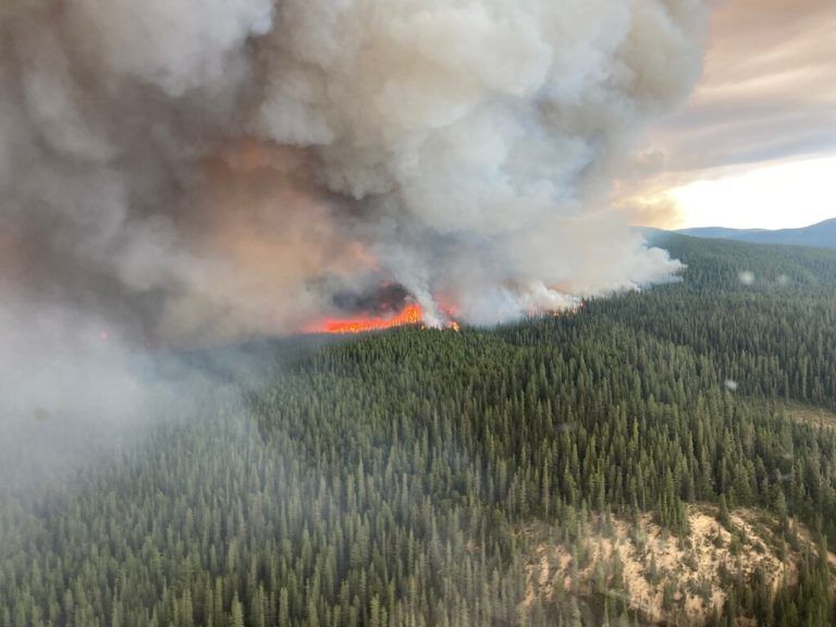 Die Zahl der Waldbrände in Kanada steigt weiter an und erreichte im Juli 2023 über 670 Brände – davon mehr als 380 außer Kontrolle. Ein langer und schwieriger Sommer steht aber erst bevor. Neun Millionen Hektar sind bereits in Rauch aufgegangen. afp