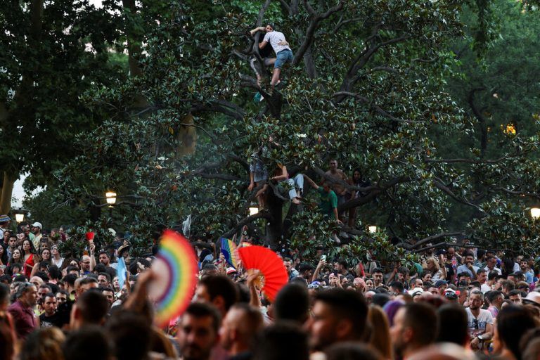 Diese jungen Menschen machten es sich auf einem Baum gemütlich, um die Pride-Parade im spanischen Madrid gut beobachten zu können. REUTERS