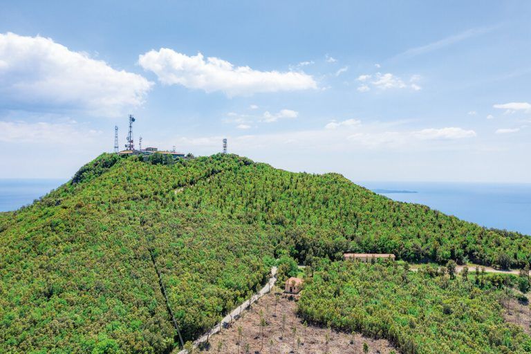 Grün ist die vorherrschende Farbe bei diesem Aussichtspunkt der Südtoskana.Shutterstock