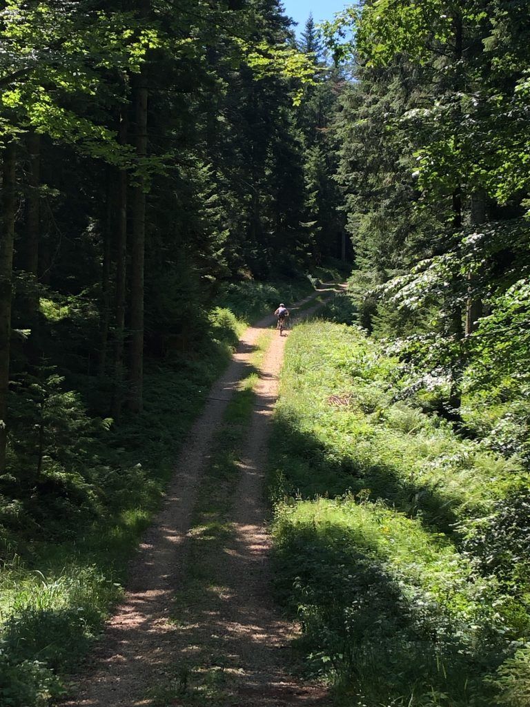 Der Hirschberg ruft