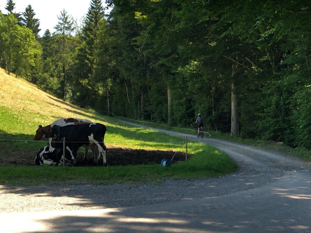 Der Hirschberg ruft