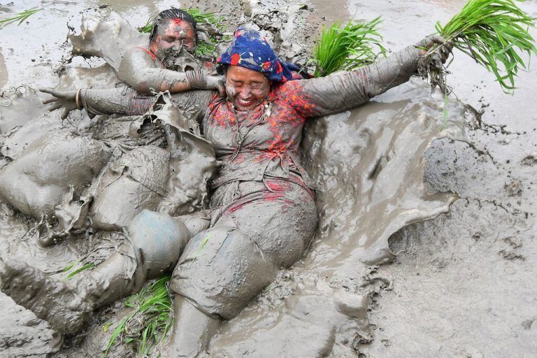 Im Dorf Tokha am Stadtrand von Kathmandu, der Hauptstadt Nepals, zelebrieren Bauern den „National Paddy Day“, der den Beginn der Reisanbausaison markiert. AFP