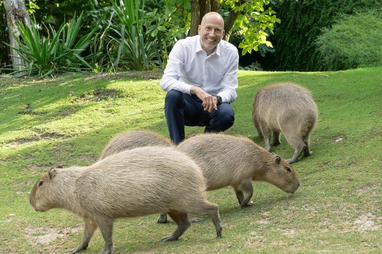 Minister Martin Kocher (ÖVP) hat im Wiener Tiergarten Schönbrunn Patenschaft für die Wasserschweine übernommen. APA/Tiergarten schönbrunn