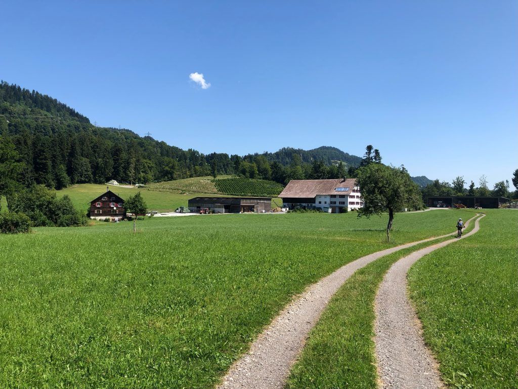 Der Hirschberg ruft