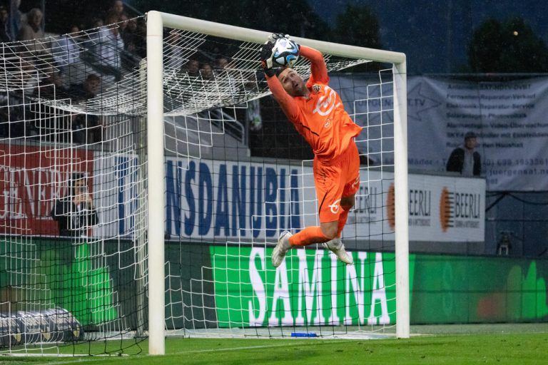 Sicherer Rückhalt: Dejan Stojanovic.apa