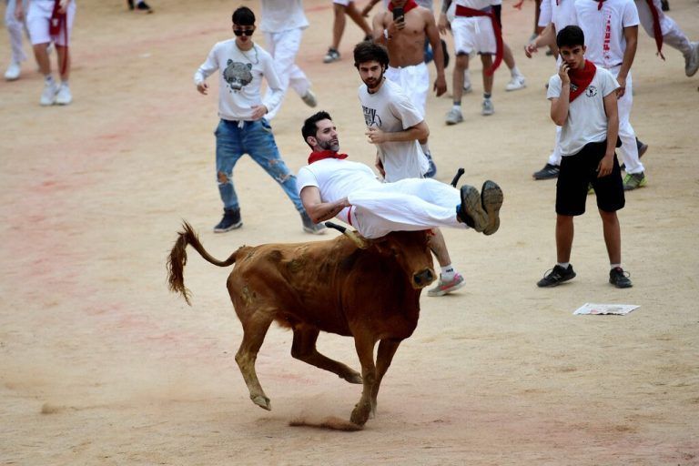 Tausende Menschen besuchen jedes Jahr das einwöchige „Encierro“ (Stierlauf) des San-Fermin-Festivals in Pamplona. Jeden Tag um 8 Uhr werden die Stiere freigelassen, um von ihrem Gehege zur Stierkampfarena durch die engen Gassen der Altstadt zu laufen. AFP