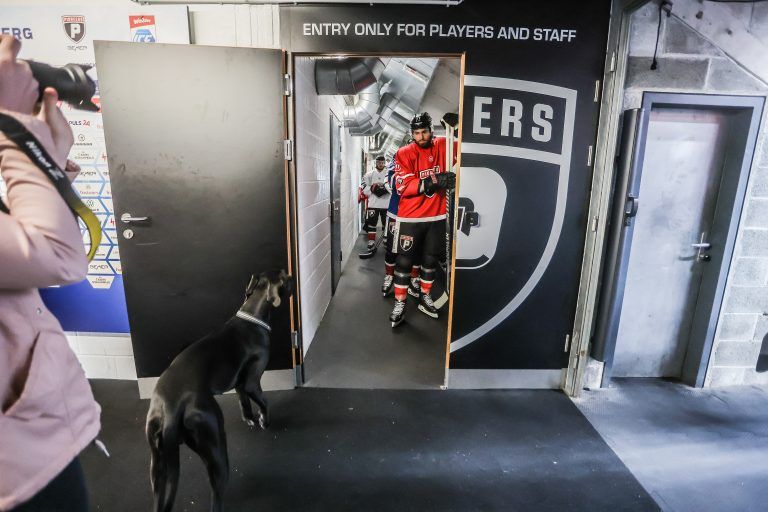 Die Tore der Vorarlberghalle öffneten sich für Pioneers-Verteidiger Ivan Korecky und seine Teamkollegen. Die Vorbereitung auf die neue Saison hat begonnen.steurer
