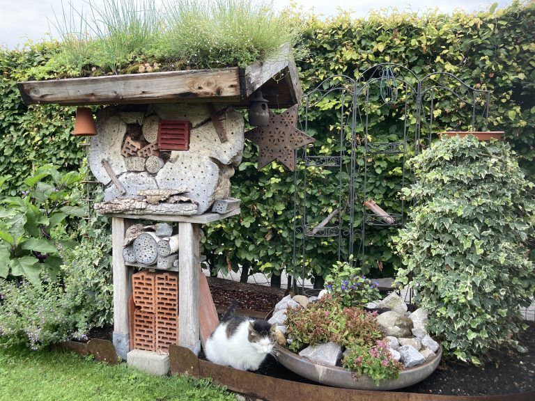 Kater Rolli Molli hat in dem Schrebergarten ein neues Zuhause gefunden. 